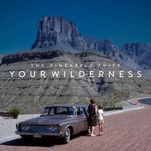 Pineapple Thief Your Wilderness recenzja