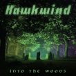 Hawkwind Into The Woods recenzja
