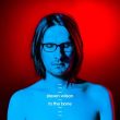 Steven Wilson To The Bone recenzja