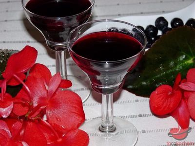 Nalewka aroniowa - aroniówka tocokocham.com